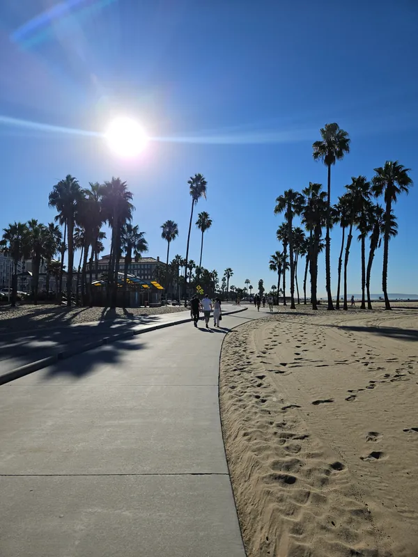 Morning Sunlight, Walk & Longevity Chats  — 4