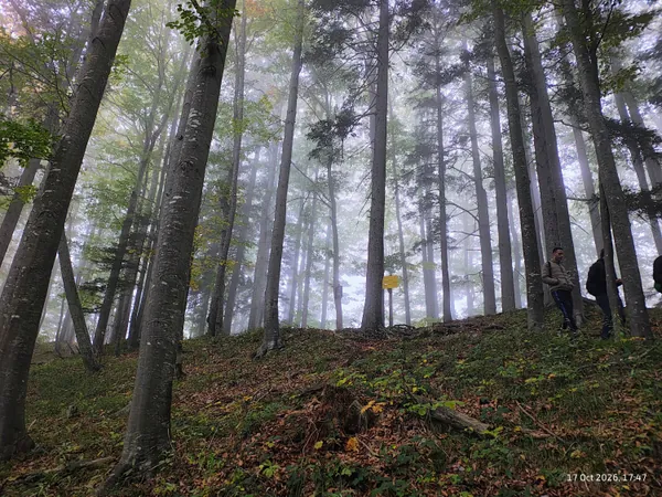 Sunset Hike: Riederstein | NymphenRuns x Longevity Munich — 9